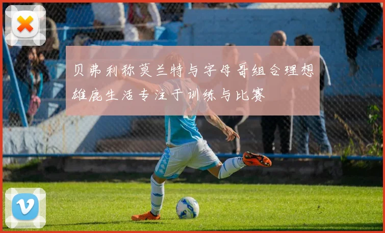 贝弗利称莫兰特与字母哥组合理想雄鹿生活专注于训练与比赛